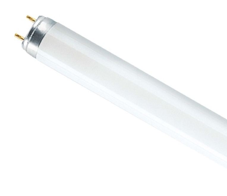 L36W-765 G13 Лампа люм. OSRAM