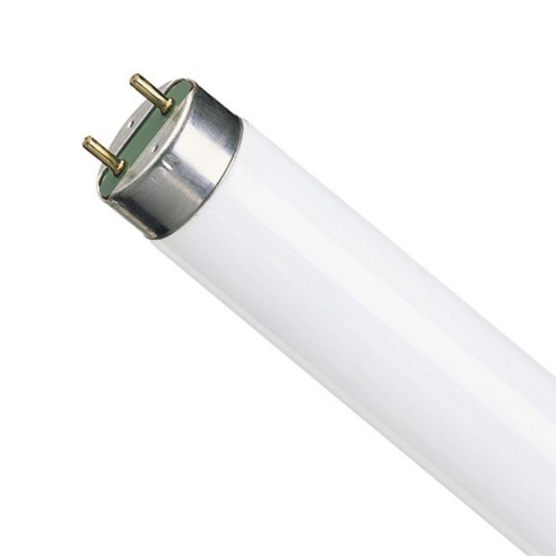 L36W-640 G13 Лампа люм. OSRAM