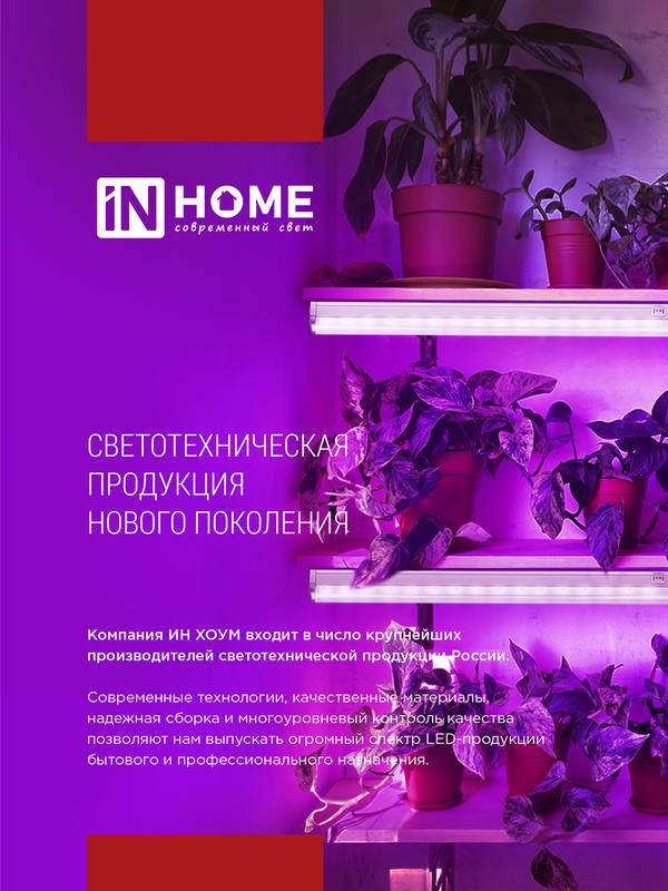 Лампа сд LED-A65-ФИТО 25Вт 230В Е27 IN HOME