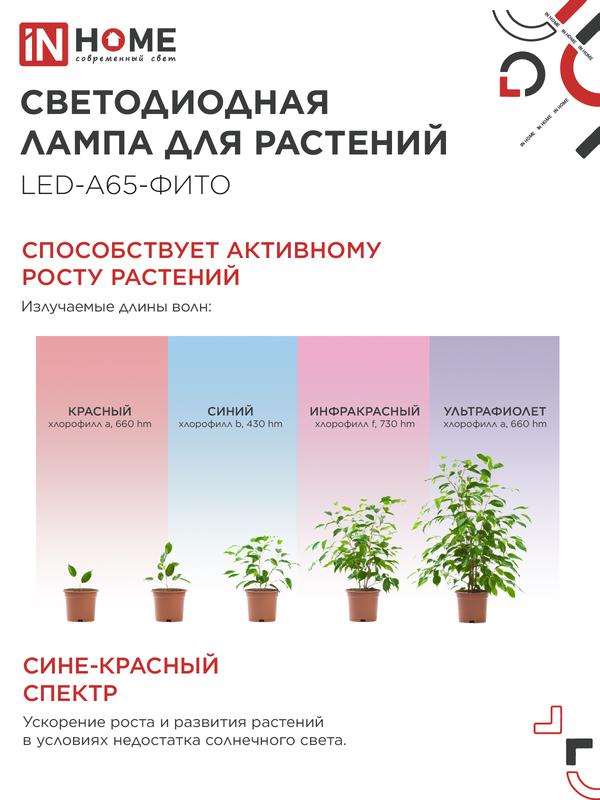 Лампа сд LED-A65-ФИТО 25Вт 230В Е27 IN HOME