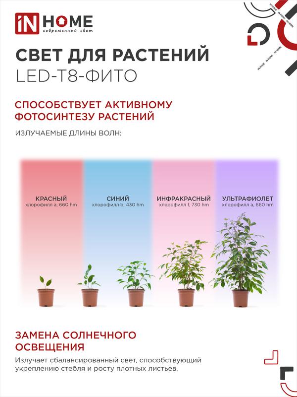 Лампа светодиодная LED-T8-FITO 10Вт 230В G13 600мм IN HOME
